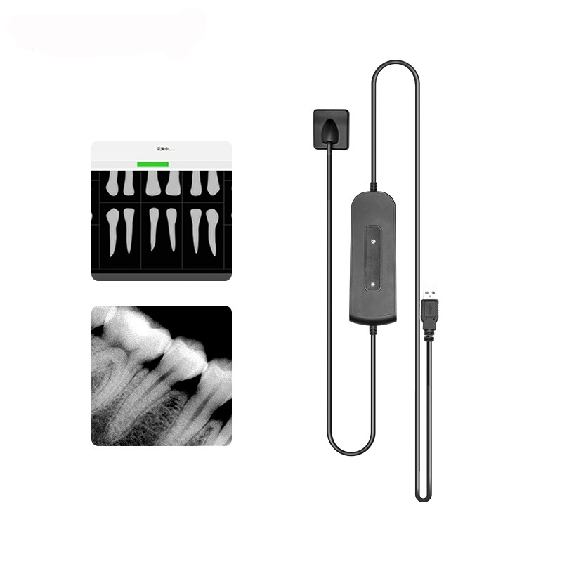1 year Warranty Dental Sensor Radiovisiograph Digital Sensor Portable Sensor HD