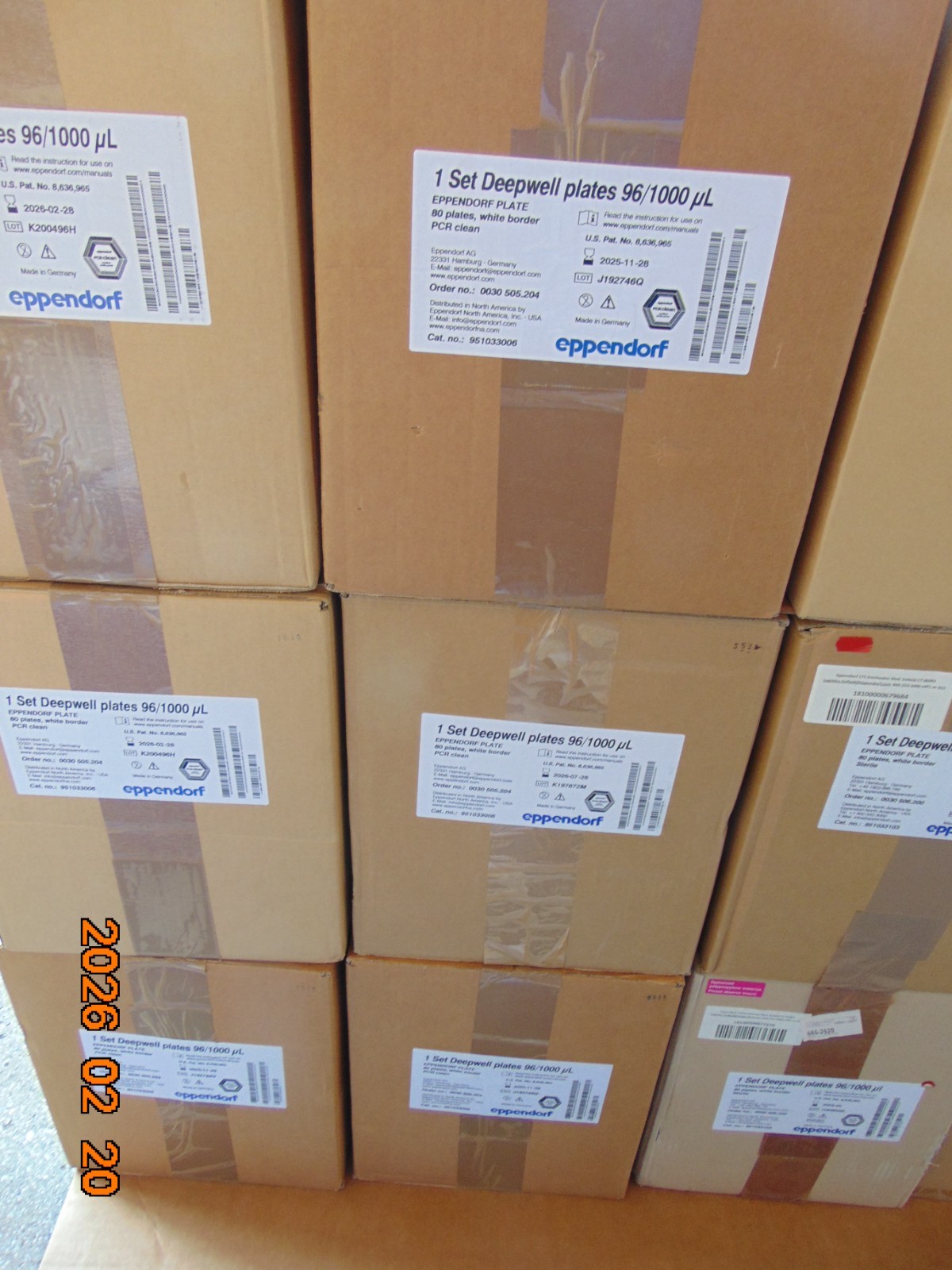 (80/Cs) EPPENDORF 96-Well 1000uL Deepwell Plates PCR Clean 96/1000uL 951033006