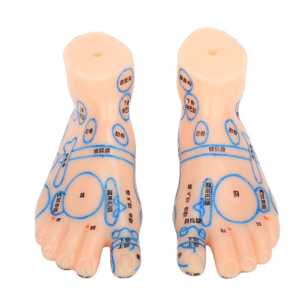 1 Pair Of Human Feet Acupoint Model Feet Massage Acupuncture Acupoint Model