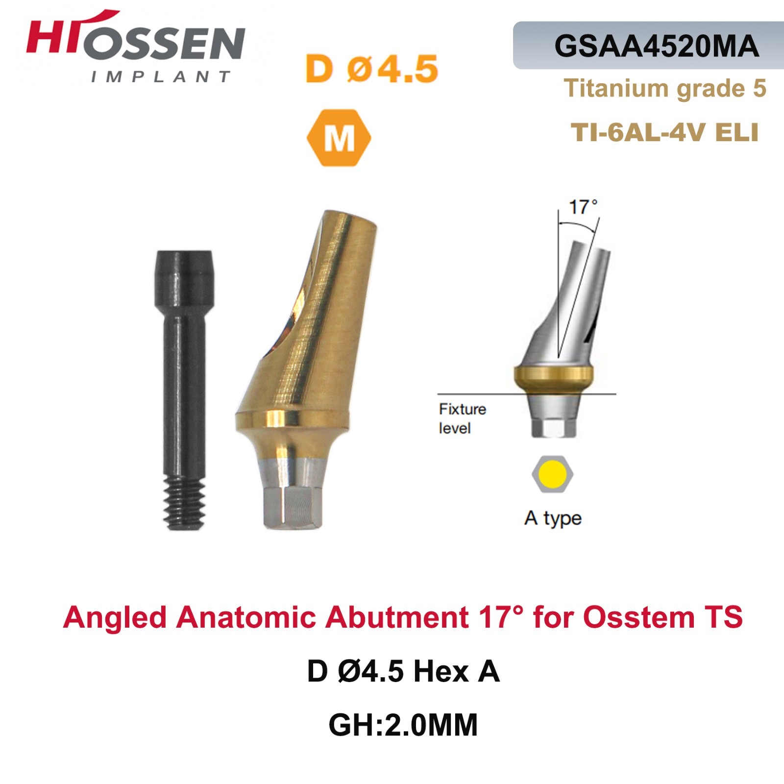 17° Angled Abutments Hiossen Mini/Reg Ø4.5-5.0mm Dental Osstem® TS Compatible