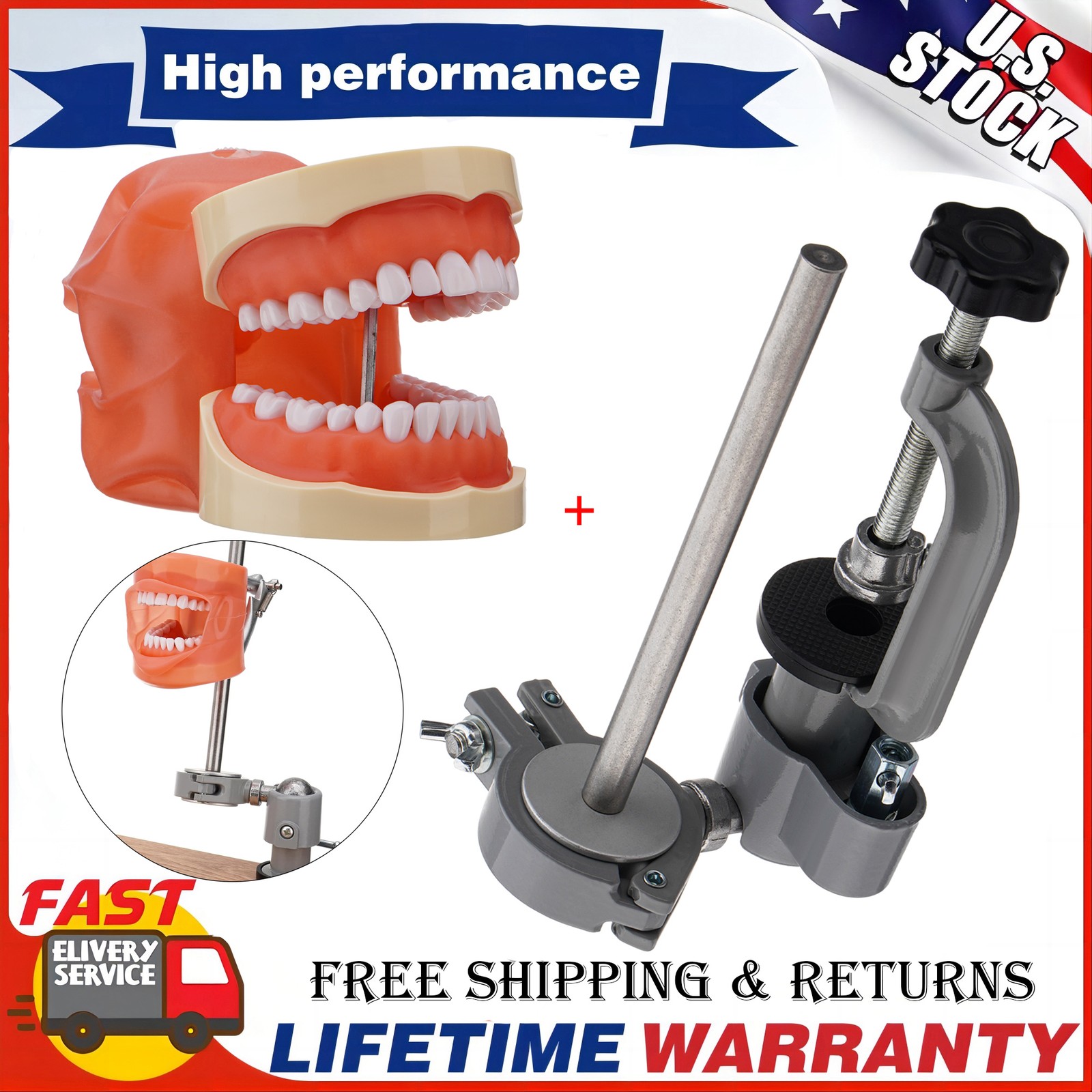 Dental Typodont Model+32pc Removable Teeth Mounting Pole Kilgore Nissin 200 Type