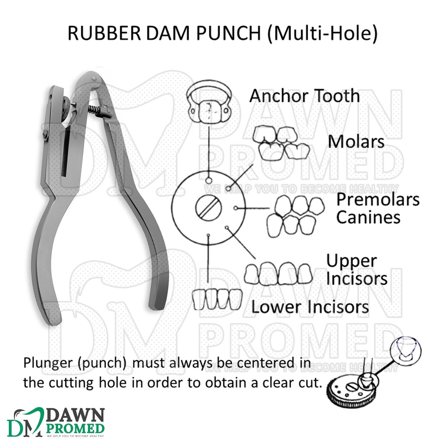 Dental Ivory Rubber Dam Hole Punch Plier 6.75″ Endodontic Clamp German Grade