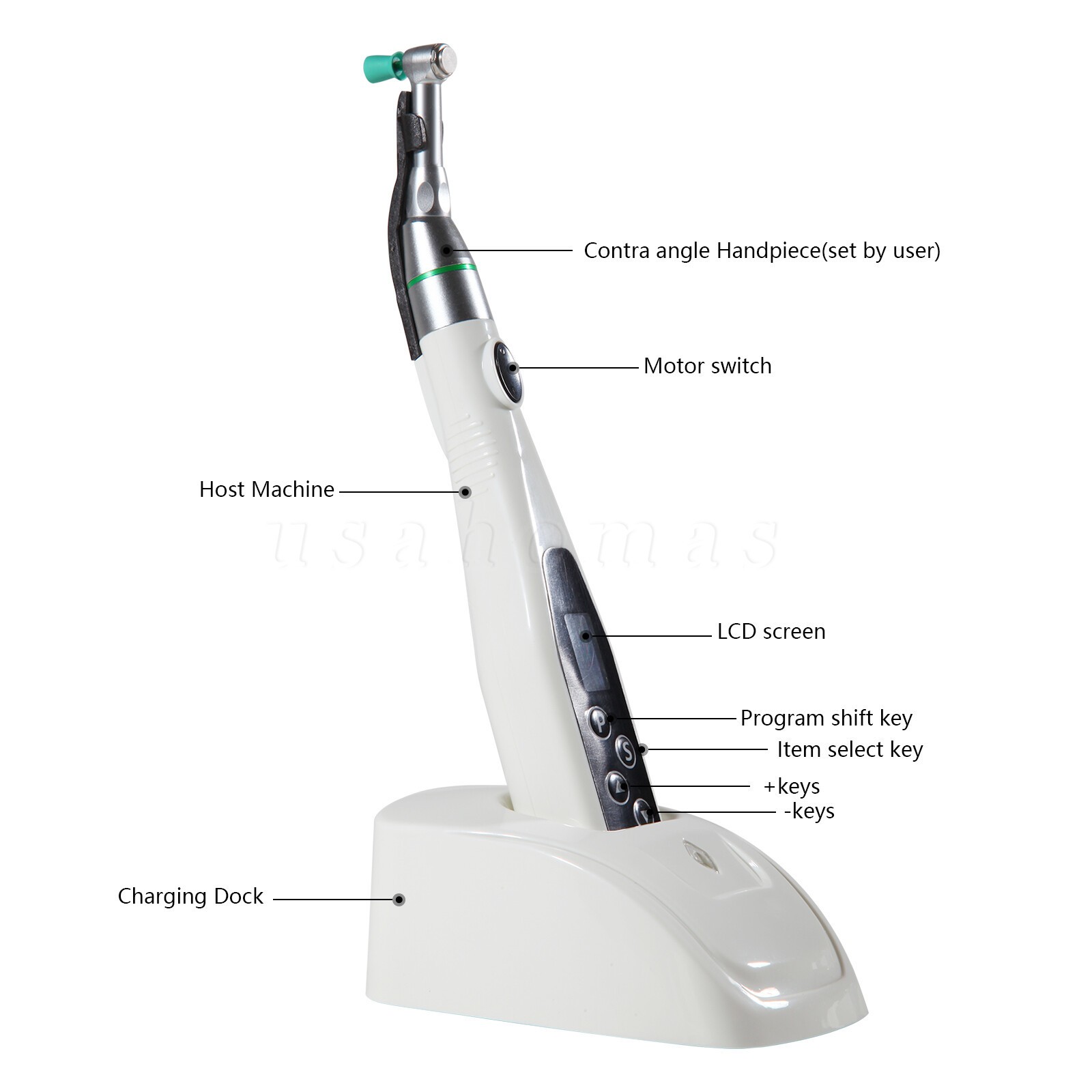 Dental LED Polishing Grinder Motor 4:1 contra angle / 100pcs Polishing cups USA