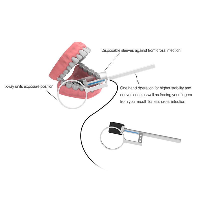 1 year Warranty Dental Sensor Radiovisiograph Digital Sensor Portable Sensor HD