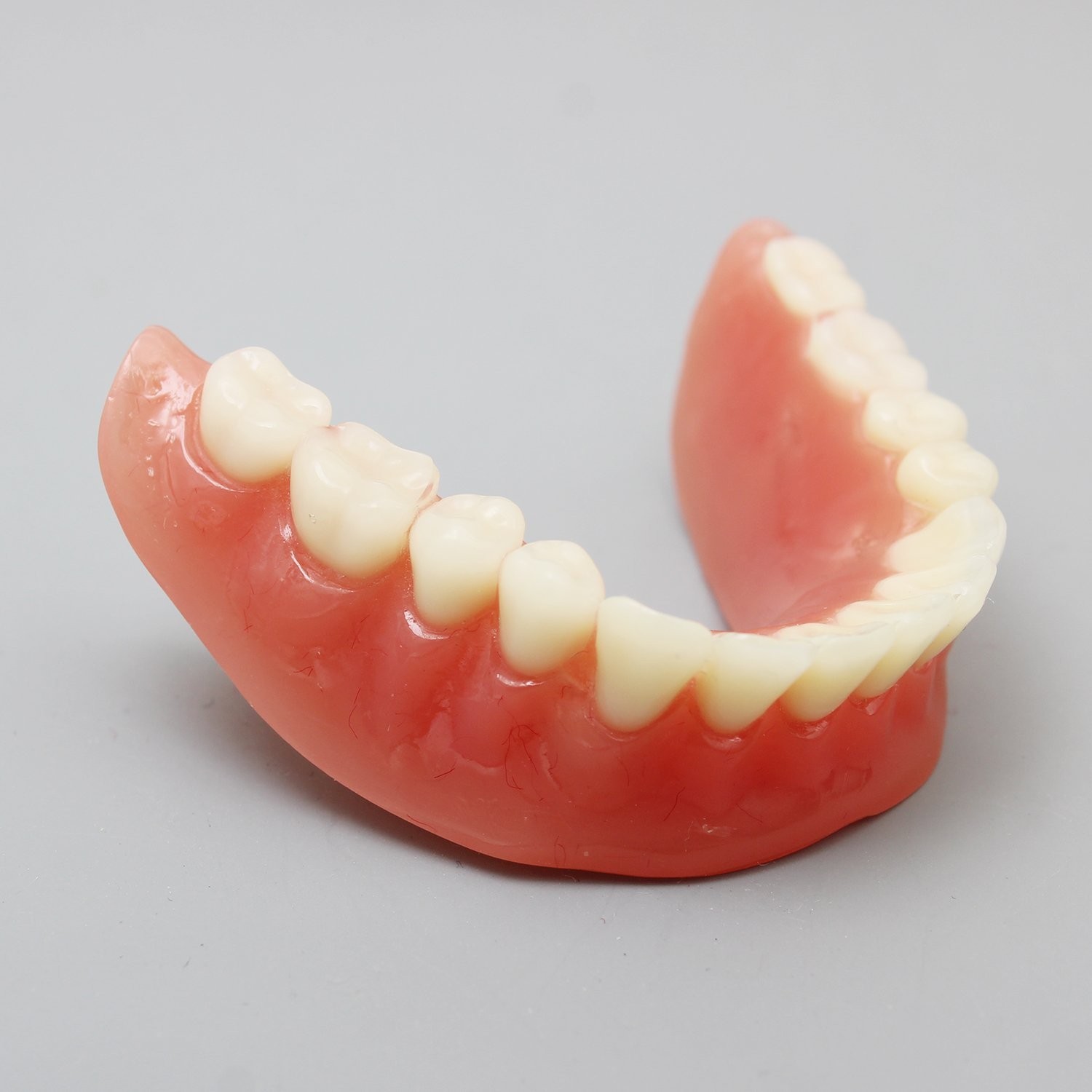 Dental Model Overdenture Inferior 4 Implants Demo for Teaching and Studying