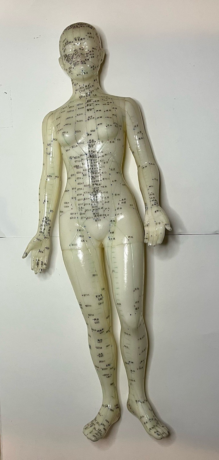 Medical acupuncture Female mannequin 18” Inch Vintage Over 2,000 Accu. Points