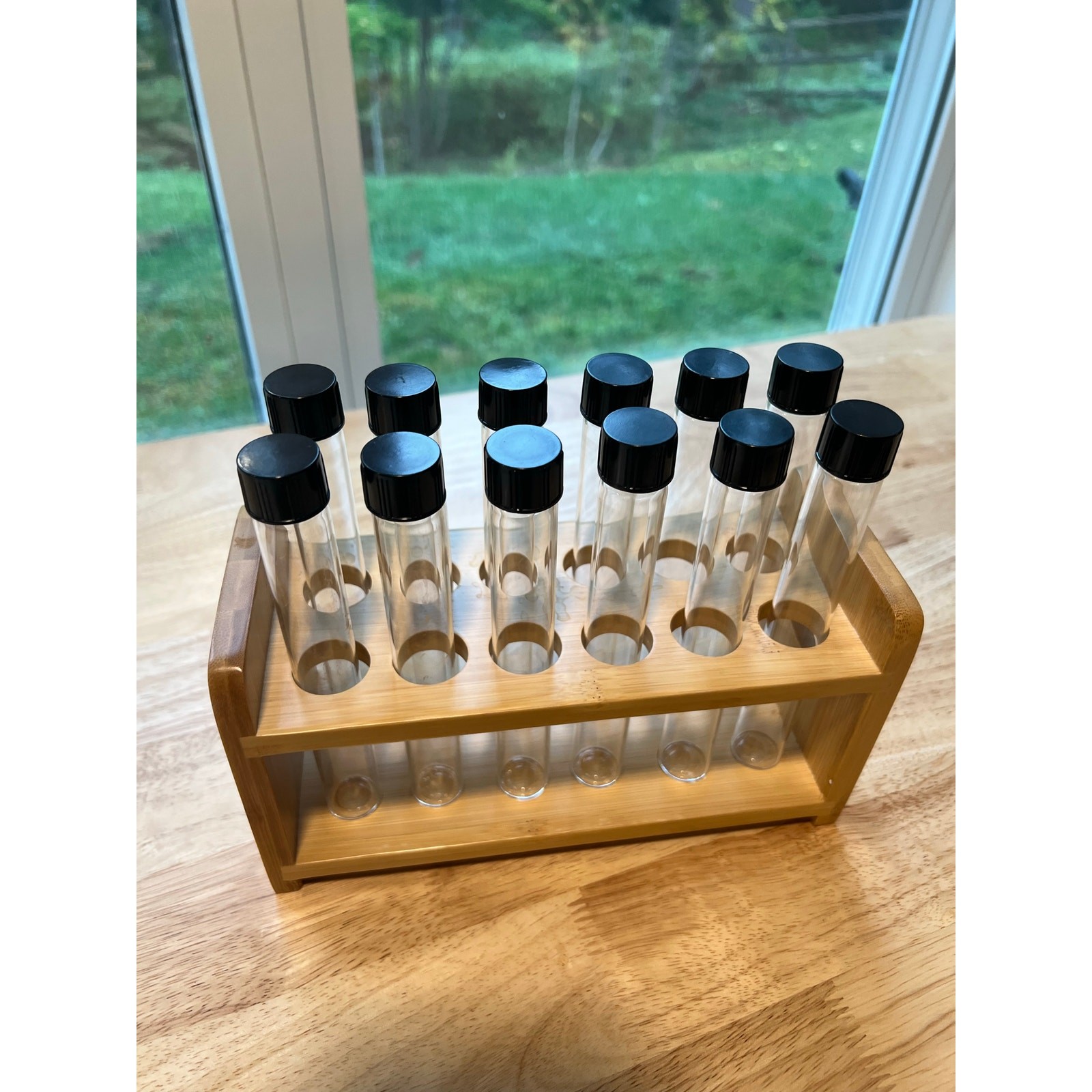 12 Capped Glass Test Tubes with Wood Stand Display Rack Science Lab Testing