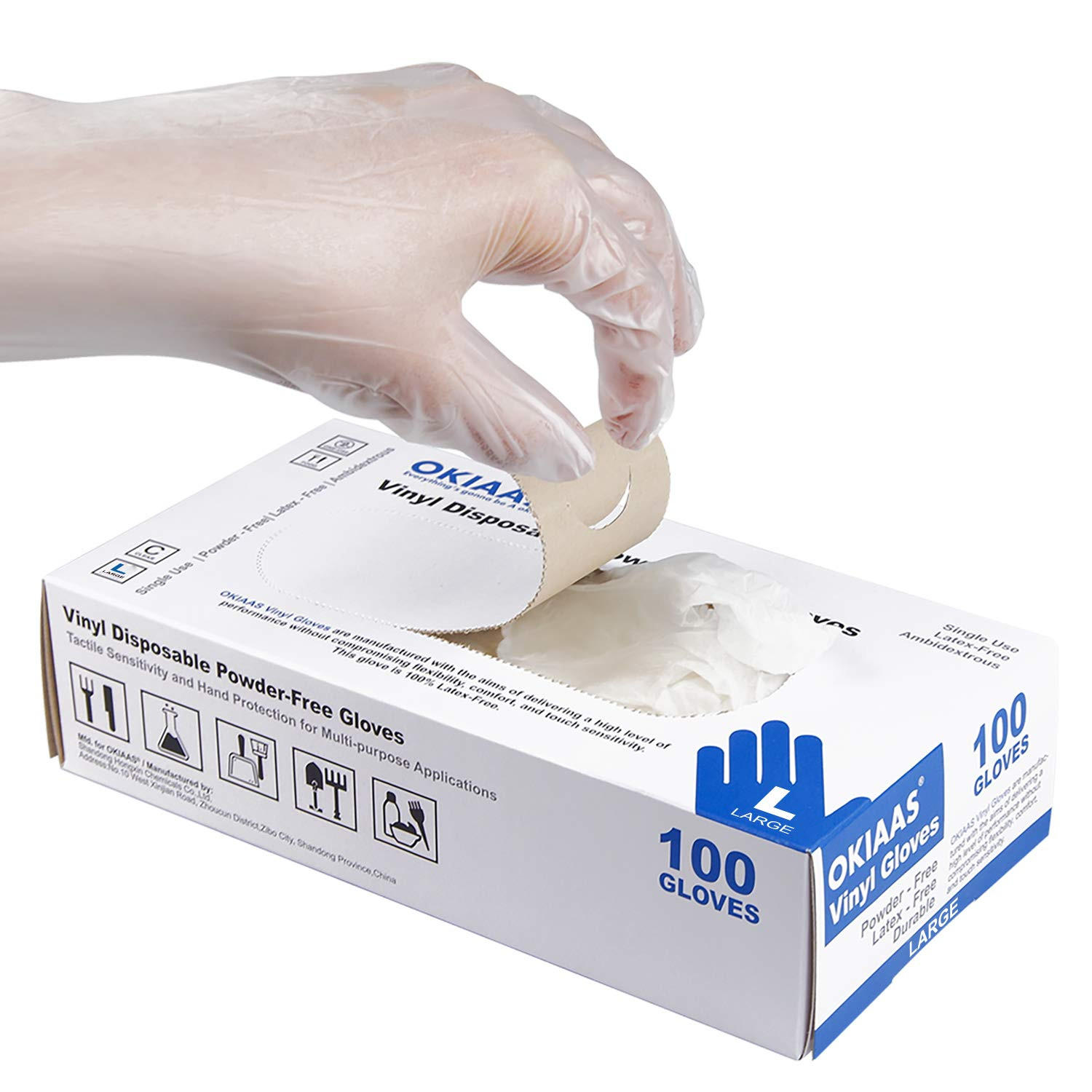 Disposable Gloves M, Food Safe | Latex-Free and Powder-Free Clear Vinyl Gloves f