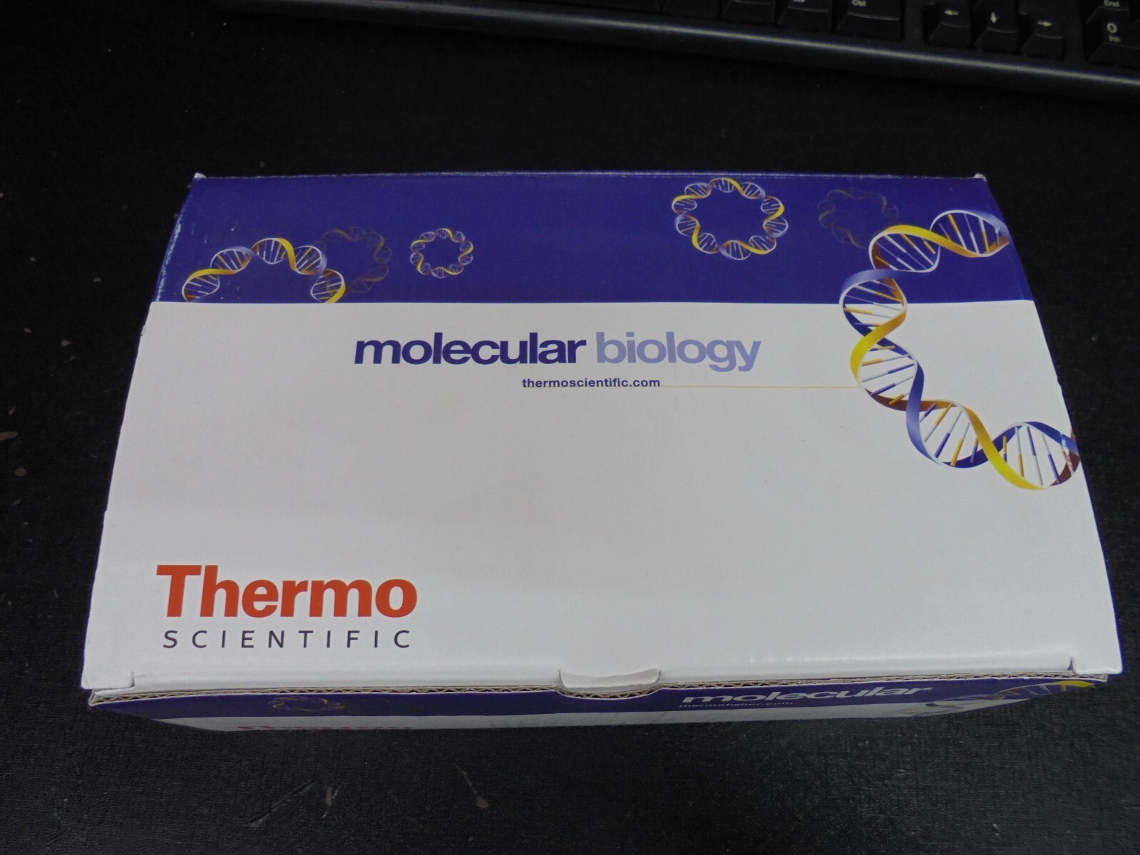 Thermo Scientific AB-1113 0.2ml Thin Walled 12 Tube and Domed Cap Strips