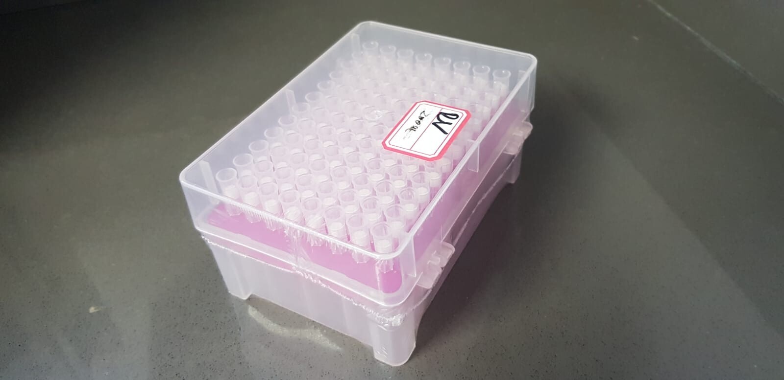 Pipette tips filtered 200ul (Sterile, 50 racks, 4800 tips)