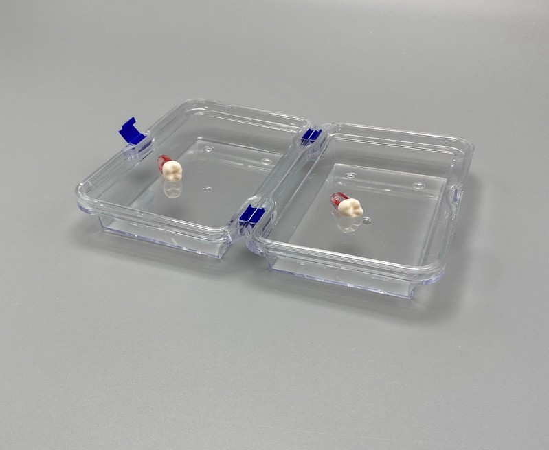 2pcs Dental Denture Storage Box Tooth Boxes Veneer Membrane Case 16*10*5cm USA