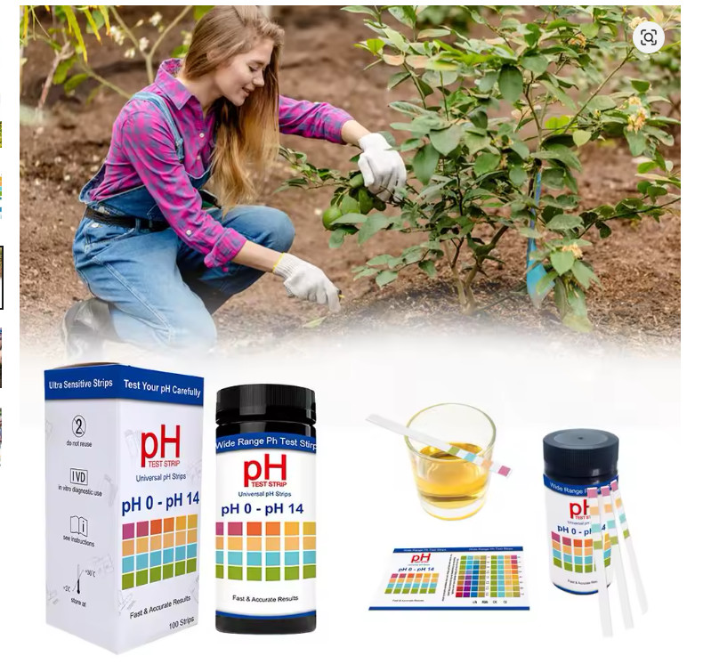 100 Pieces Multipurpose Chlorine PH Test Strips SPA Water Tester Paper