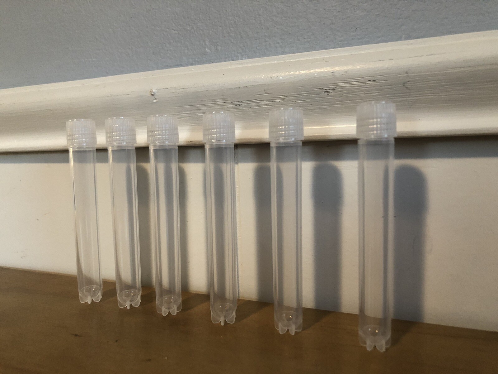 50x 5ml 3.5″ Clear Plastic Tube Cryo Specimen or Seed Storage Twist Cap Standing