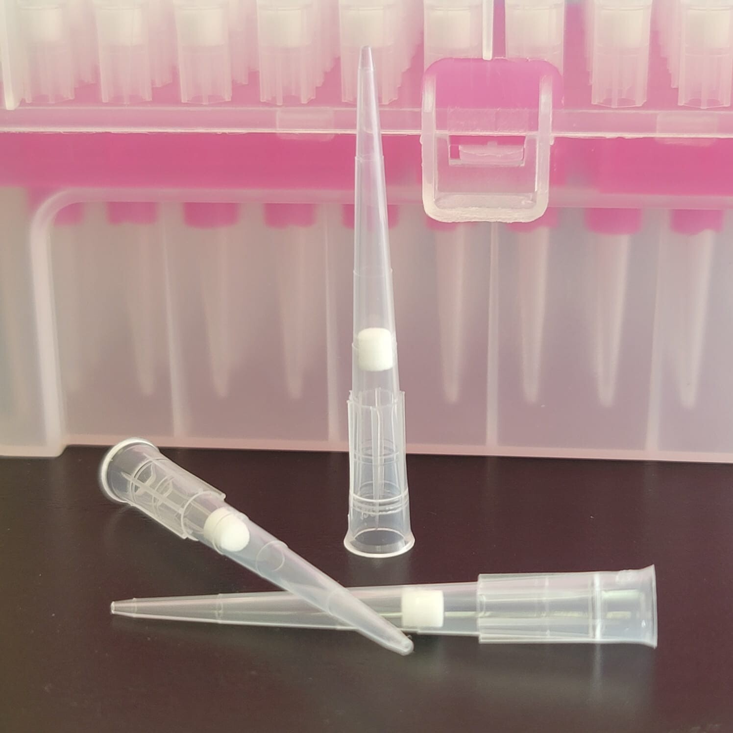 Pipette tips filtered 200ul (Sterile, 50 racks, 4800 tips)