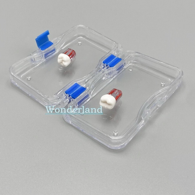 10X Dental Storage Box Veneer Boxes Membrane Jewelry Holder Crowns Cases USA