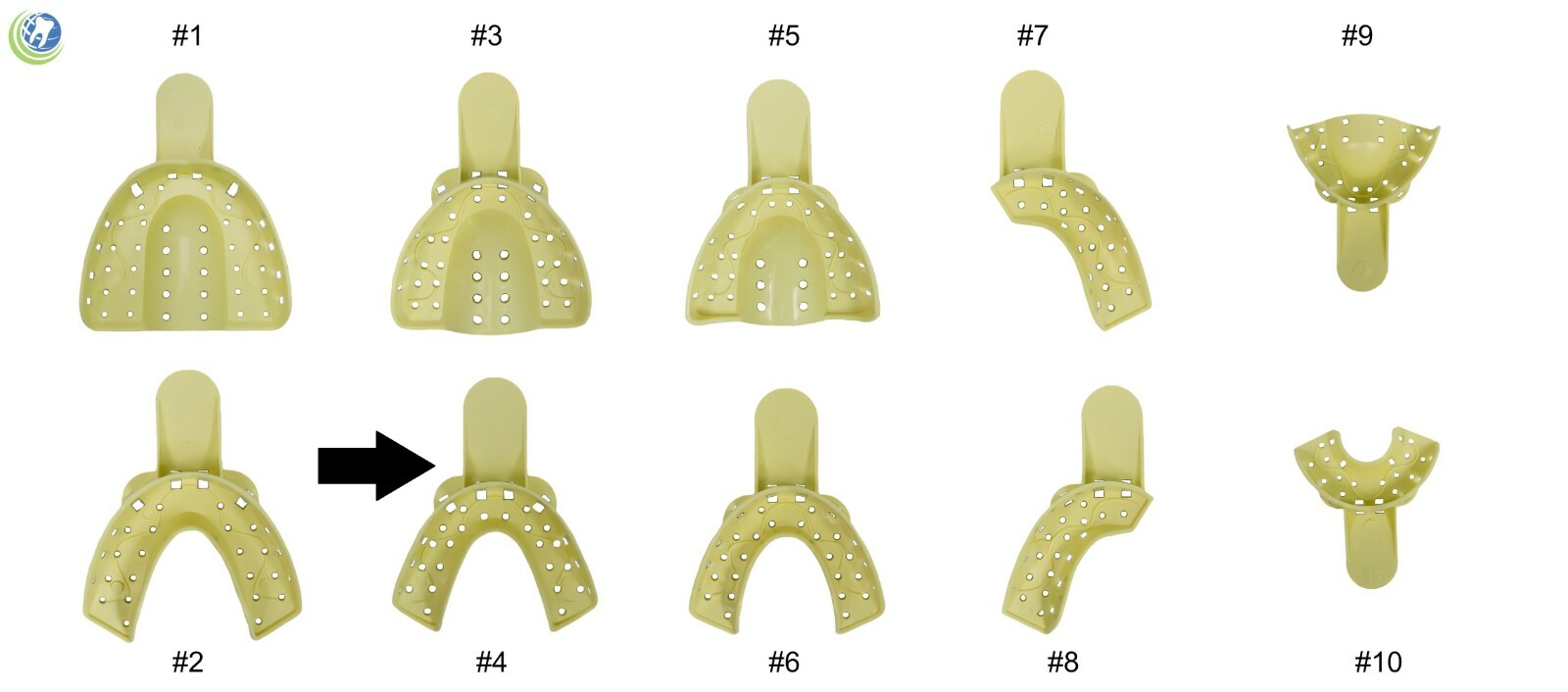 Dental Plastic Impression Trays Perforated Autoclavable Lower Medium #4 12 Pcs