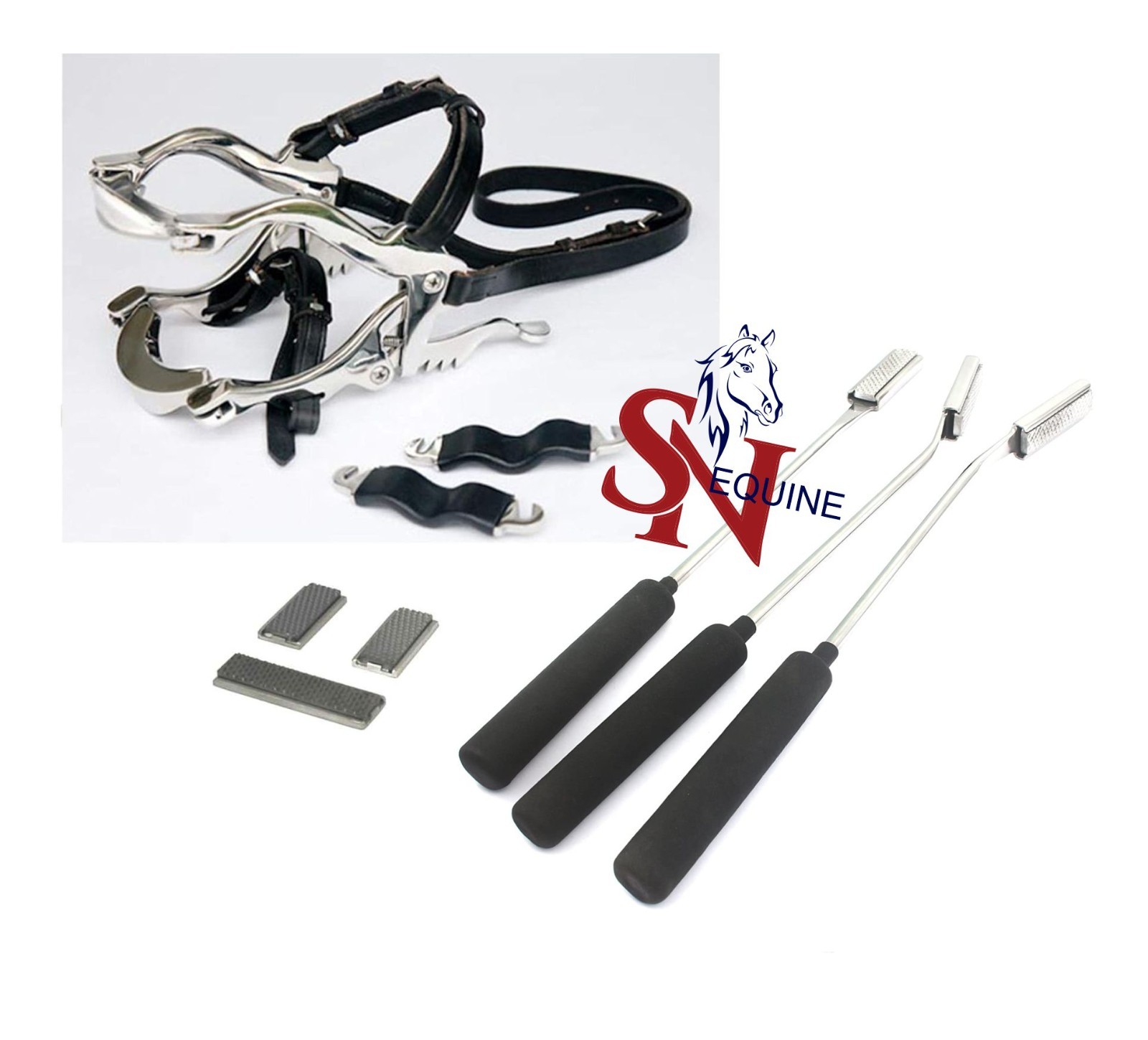 Equine Dental Kit with Hausmann Speculum &3 Floats with Blades–Horse Veterinary