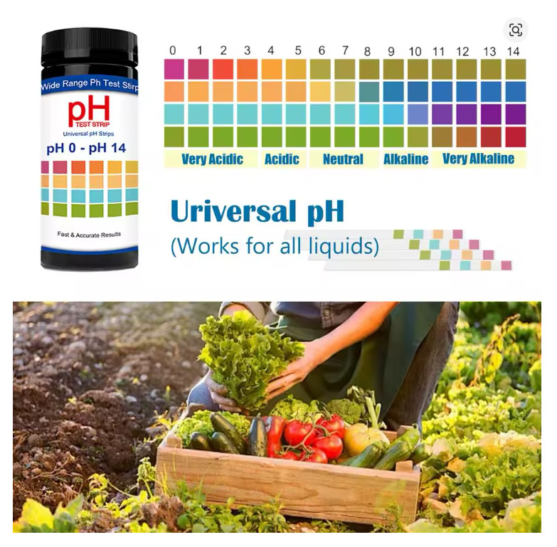 100 Pieces Multipurpose Chlorine PH Test Strips SPA Water Tester Paper