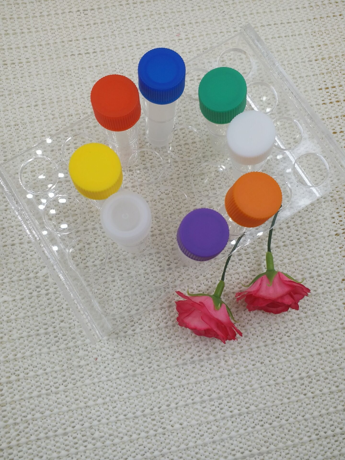 5ml Plastic Test Tubes Vial Screw Seal Cap Pack Container 50-100pcs