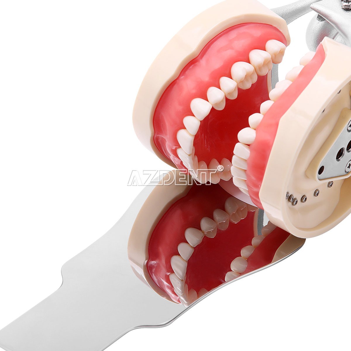 10Pcs Dental Orthodontic Lingual Retainer Bonding Splits with Mark AZDENT